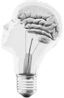 bulb brain